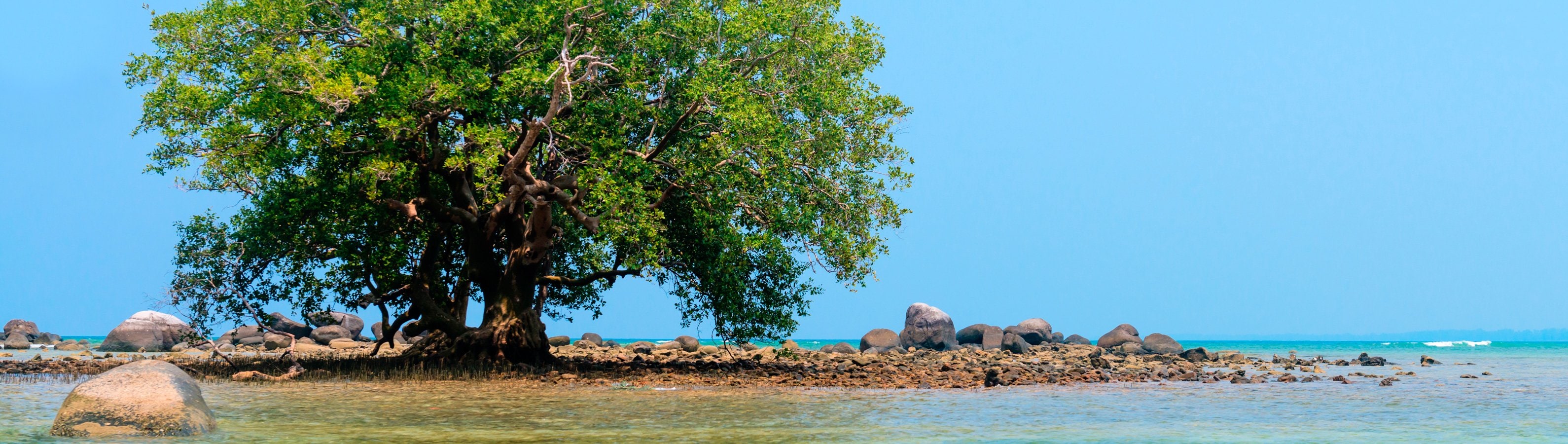 fyc_saf_14 itineraryImageDesktop