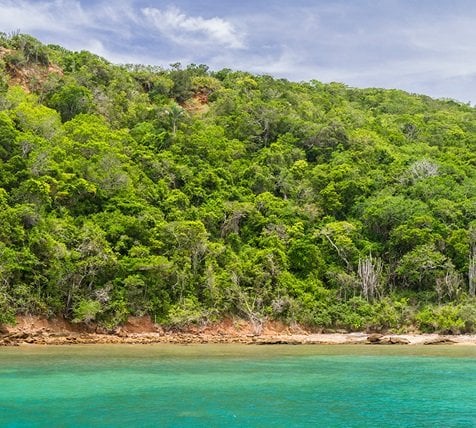 fyc_soa_17_mobile Mobile Image