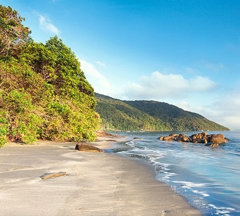 fyc_soa_8_mobile Mobile Image