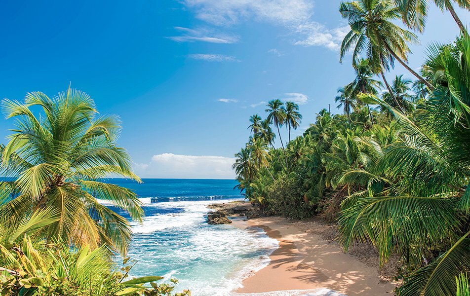 Spring Cruise to Mediterranean | MSC Cruises