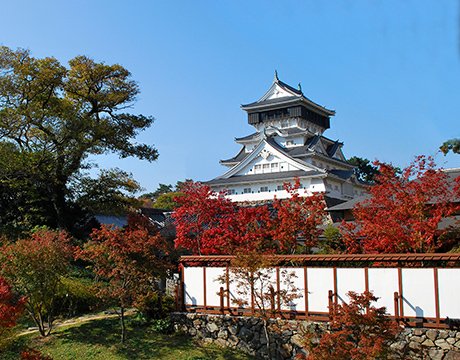 Fukuoka, Japan | MSC Cruises