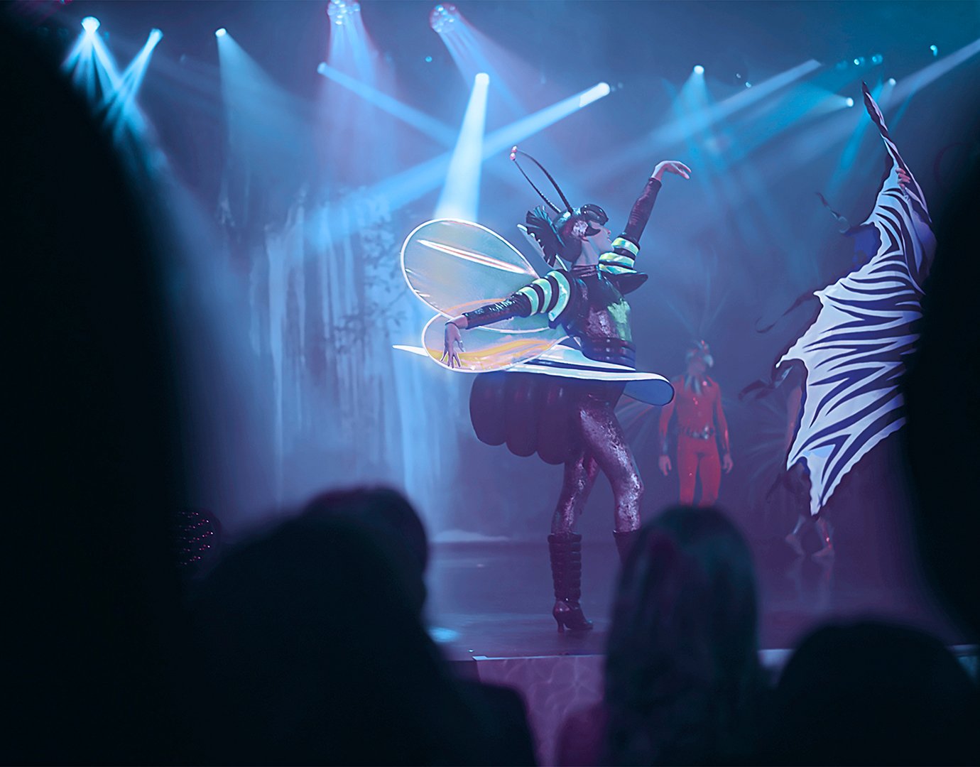 Transatlantic Cruises, Night activities| MSC Cruises