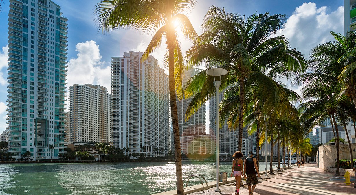 Ocean Cay MSC Marine Reserve, cruises from Miami| MSC Cruises Ocean Cay MSC Marine Reserve, cruises from Miami| MSC Cruises