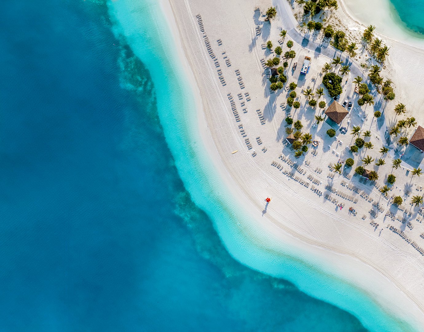 Ocean Cay MSC Marine Reserve, Beaches | MSC Cruises Ocean Cay MSC Marine Reserve, Beaches | MSC Cruises