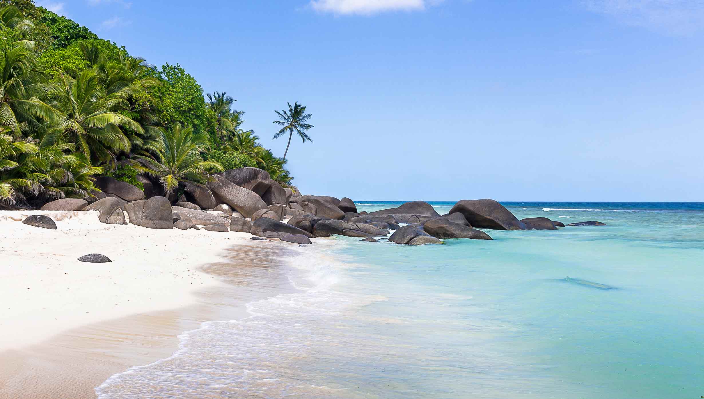 A tropical beach with palm trees, white sand, and turquoise waters | MSC Cruises A tropical beach with palm trees, white sand, and turquoise waters | MSC Cruises