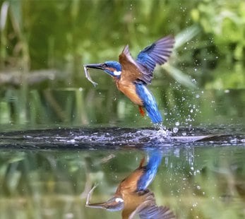 MSC World cruise 2028 | MSC Cruises MSC World cruise 2028 | MSC Cruises