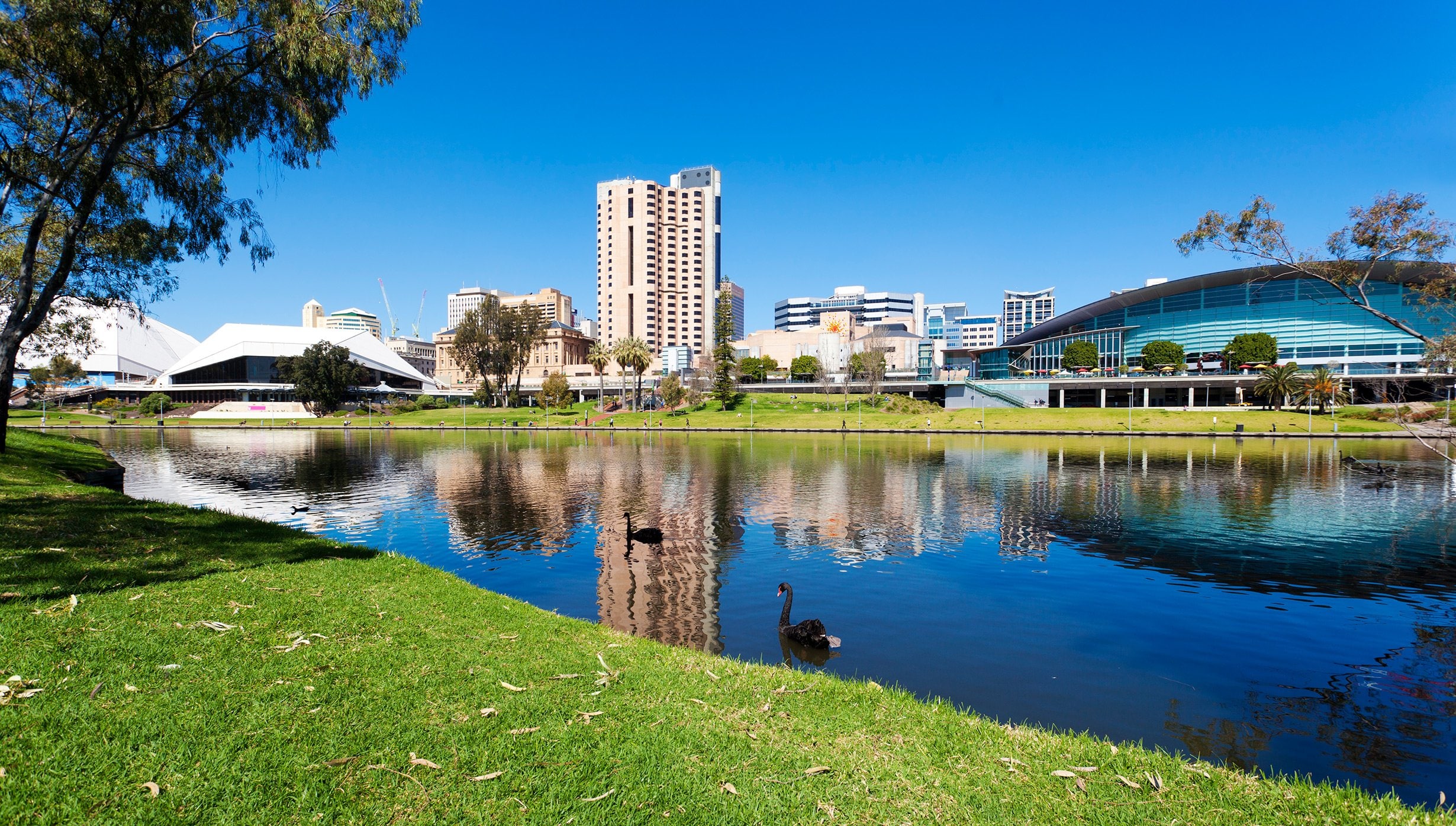 Adelaide Cruise Adelaide Cruise