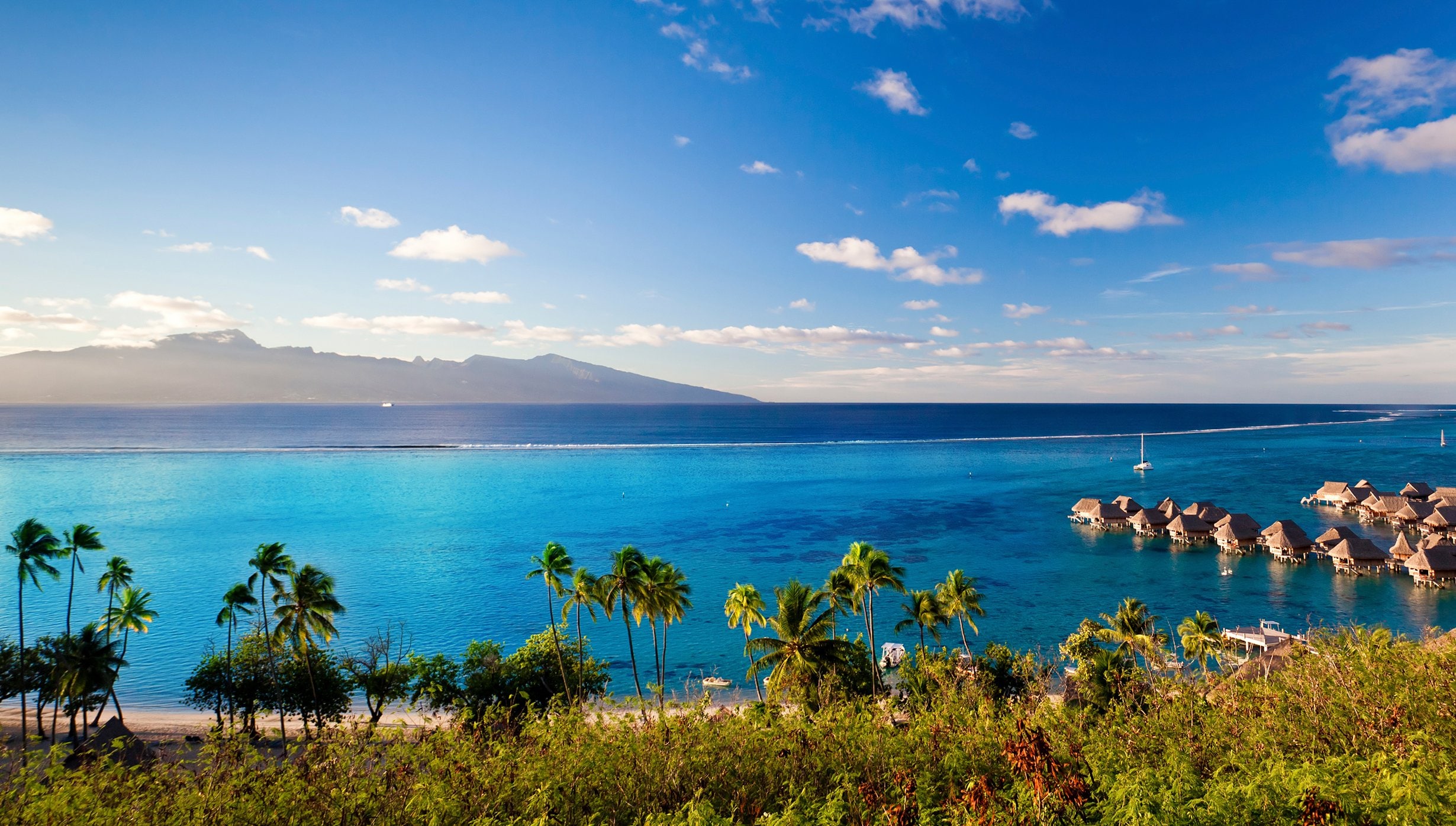 Moorea Cruise Moorea Cruise