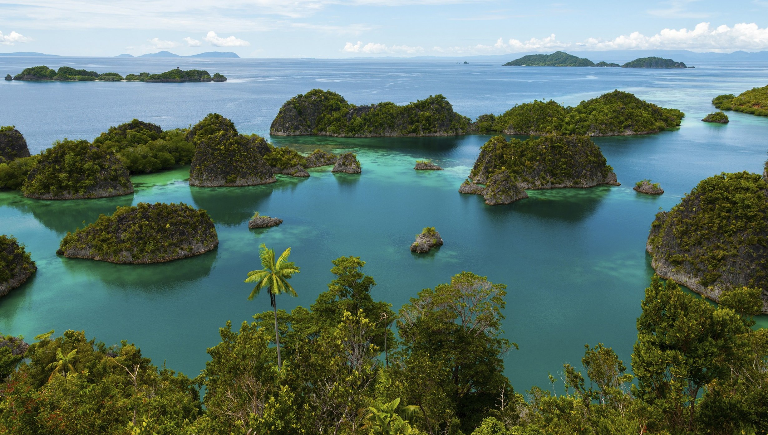 raja ampat free, Wajag Island, Raja Ampat Islands, Raja Ampat Biodiversity Eco Resort