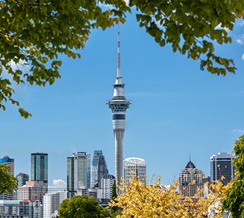 Auckland | MSC Cruzeiros