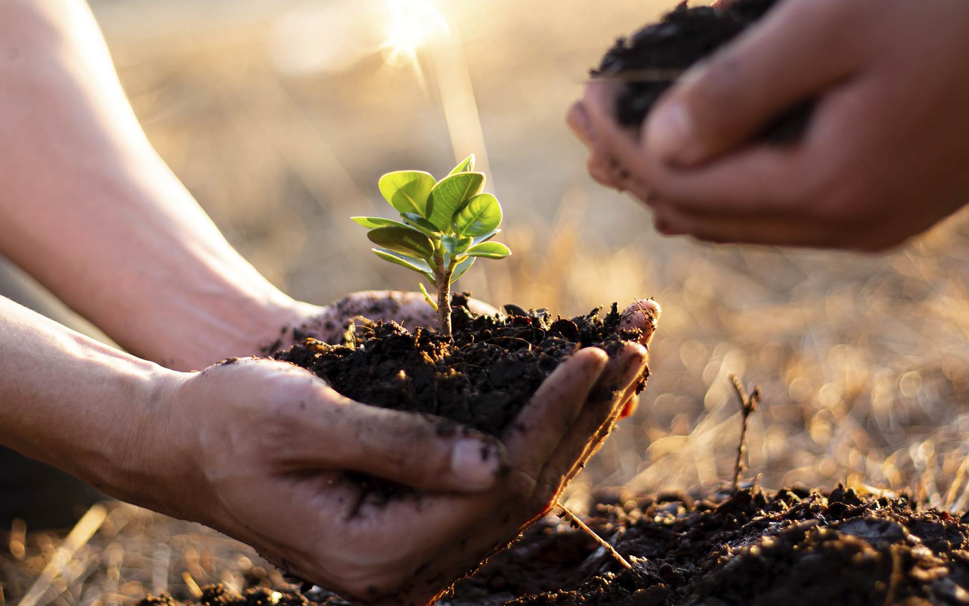 MSC Protectours | MSC Cruises MSC Protectours | MSC Cruises