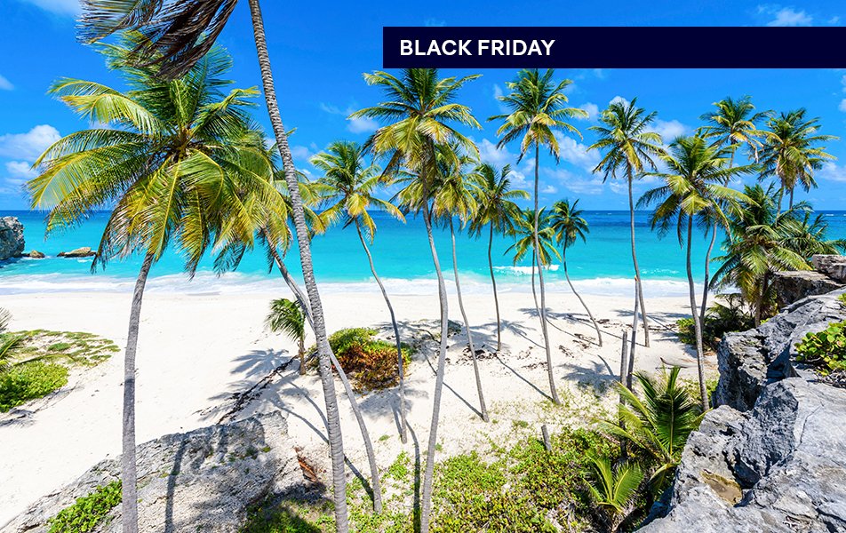Black Friday deals, Caribbean & Antilles | MSC Cruises