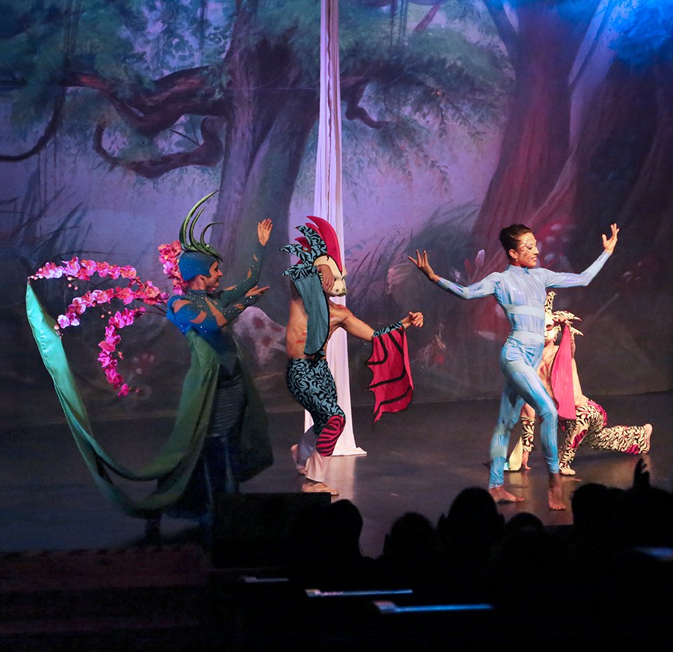 Shows Teatrais | MSC Cruzeiros