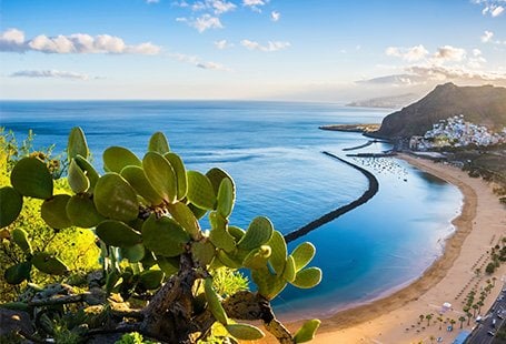 Imagem dos itinerários com partida do Funchal para a Homepage